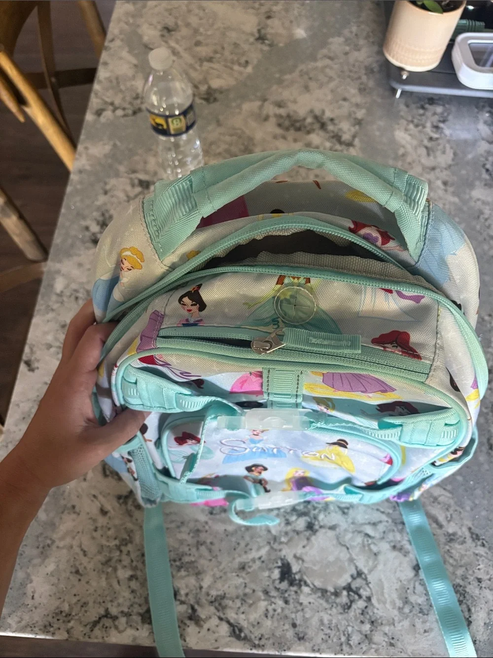 Pottery Barn Kids Mint Disney Princess Backpack- Sutton